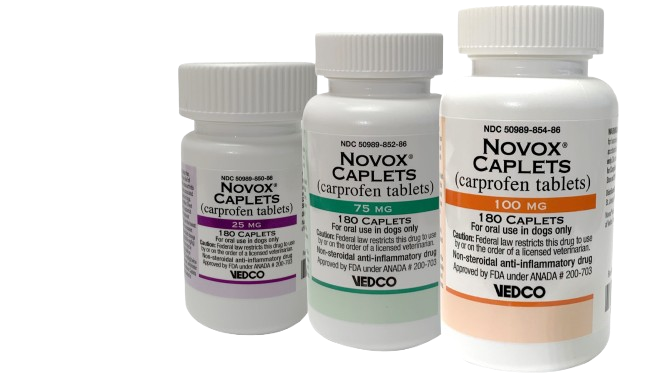Novox group.png